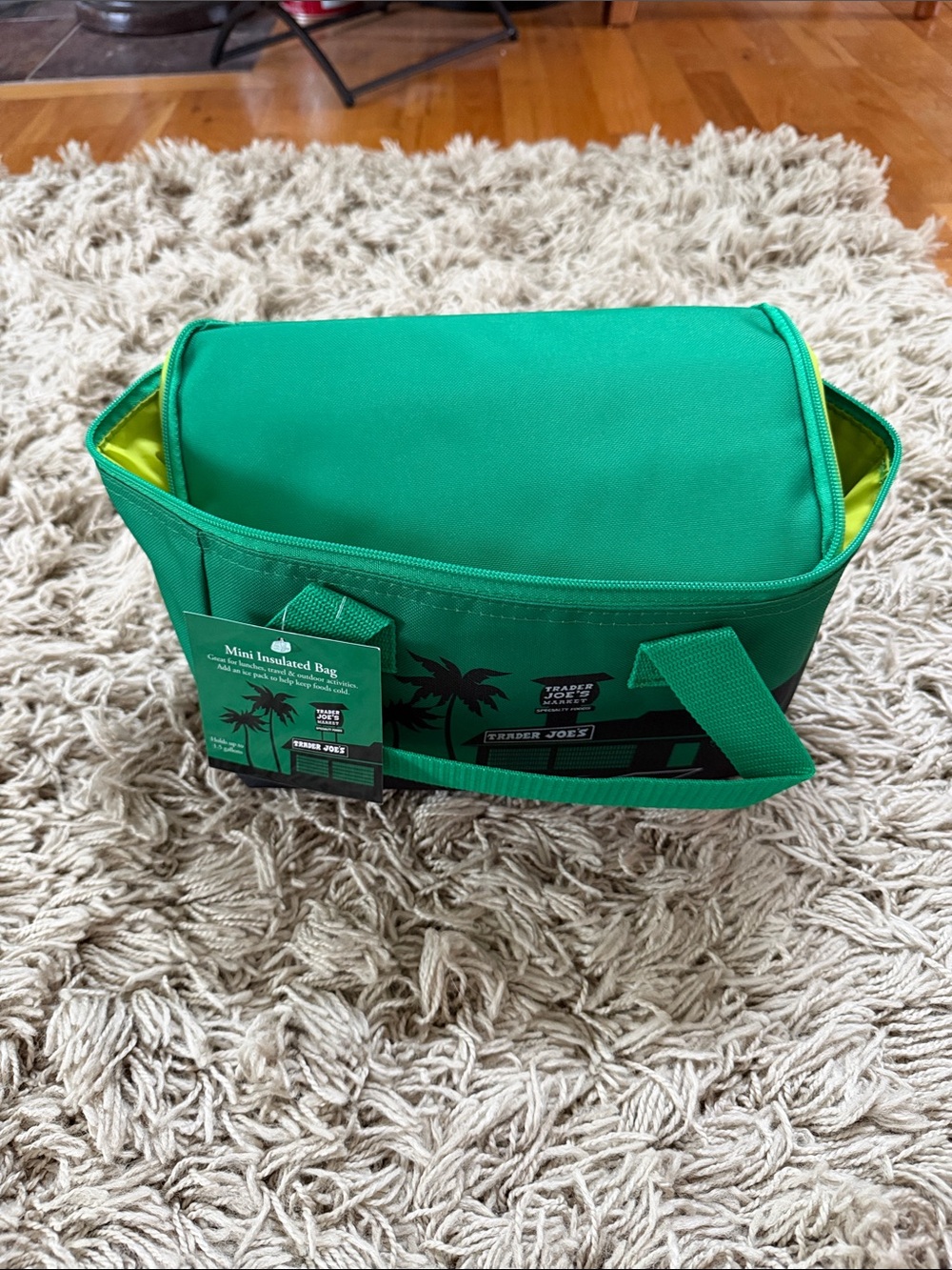 Trader Joe’s Mini Green Insulated Lunch Tote Bag with Dual Handles